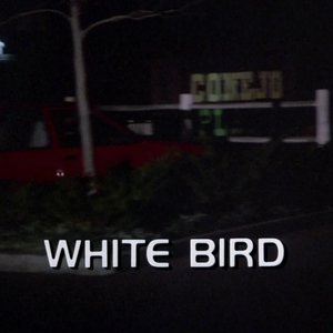 Image for 'White Bird'