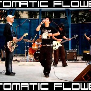 Image for 'Automatic Flowers'