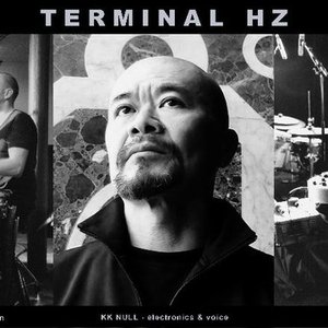 Image for 'Terminal Hz'