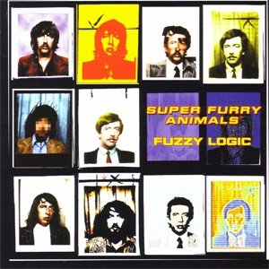Image for 'Fuzzy Logic (20th Anniversary Reissue)'