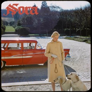 Image for 'Nora'