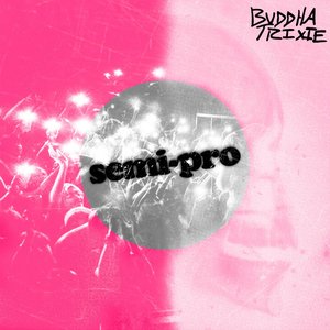 Imagen de 'Semi-Pro'