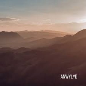 Image for 'Anwylyd'