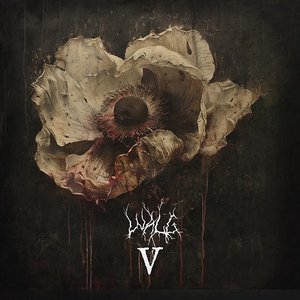 Image for 'V'
