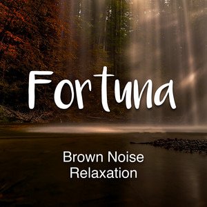 “Brown Noise Relaxation”的封面