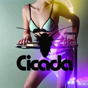 Image for 'Cicada'