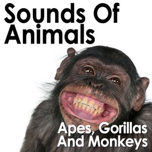 “Sounds of Animals: Apes, Gorillas and Monkeys”的封面