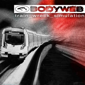 “train_wreck_simulation”的封面