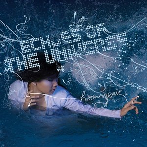 “echoes of the universe”的封面