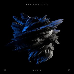 “Whatever U Did”的封面