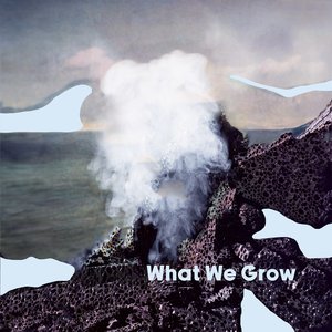 Image for 'What We Grow'