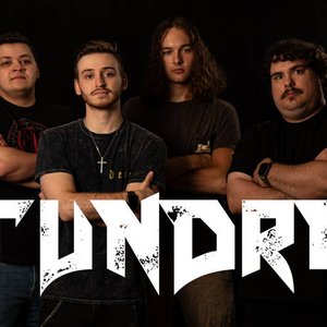 Bild för 'Tundra'