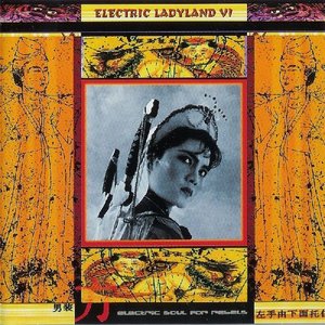 Imagem de 'Electric Ladyland VI'