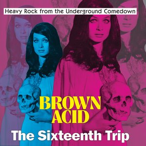 Image for 'Brown Acid - The Sixteenth Trip'