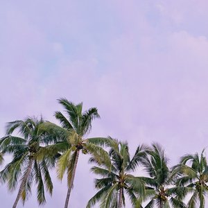 'You'の画像