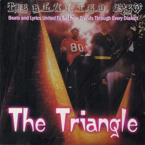 Image for 'The Triangle'
