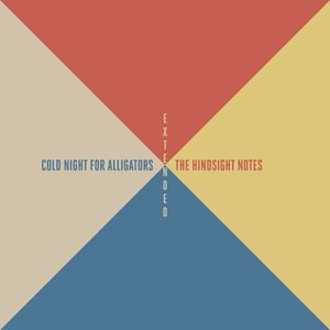 Image for 'The Hindsight Notes (Extended)'