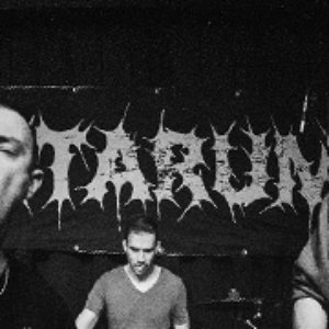 Imagen de 'Litarum'