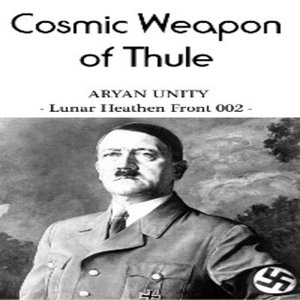 Image for 'Aryan Unity'