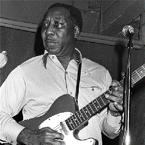 Image for 'Muddy Waters (Featur. B.B. King)'