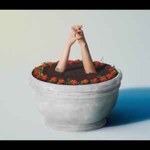 Image pour 'Marigold - Single'