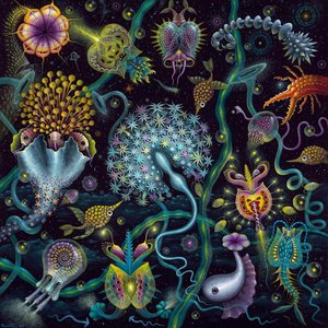 Image for 'Elementary Particles'
