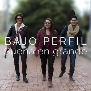 Image for 'BAJO PERFIL'