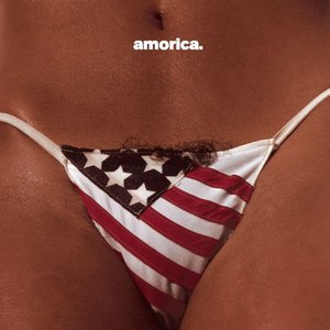 Image for 'Amorica'