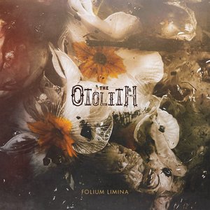 Изображение для 'Folium Limina'