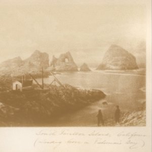 Bild für 'farallon islands refuge'
