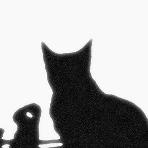 'Bo!'の画像