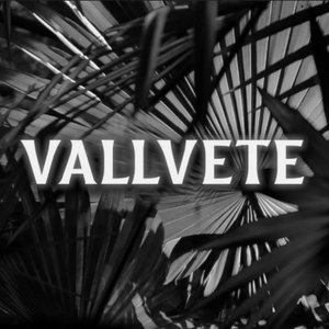 Image for 'Vallvete'
