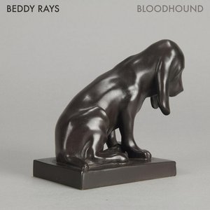 Image for 'Bloodhound'