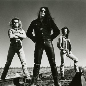Image for 'The Cult'
