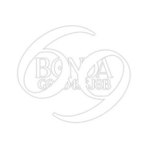 “Bonda 4”的封面