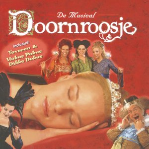 Image for 'Doornroosje De Musical'