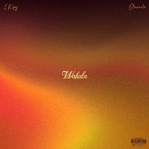 “Wahala (feat. Olamide)”的封面