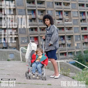 Image for 'My Brutal Life (Ambient Mixes)'