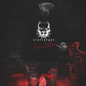 “StaFFord63”的封面