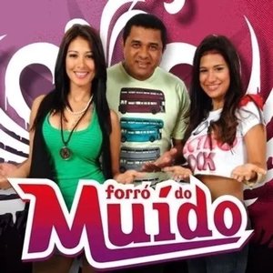 Image for 'Forró Do Muído, Vol.4 (Ao Vivo)'