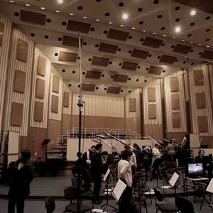 Image for 'The Budapest Art Orchestra'