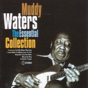 “Muddy Waters the Essential Collection”的封面