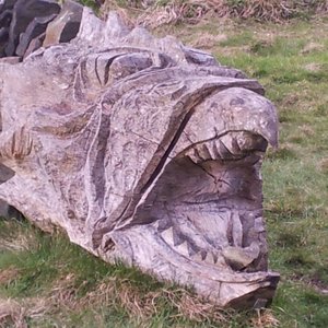 Image for 'The Wantley Dragons'