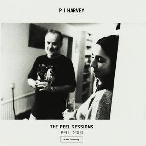 Image for 'The Peel Sessions 1991-2004'