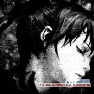 Immagine per 'the incubus mark​/​pulse of awakening'