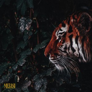 “Jungle”的封面