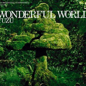 Image for 'WONDERFUL WORLD'