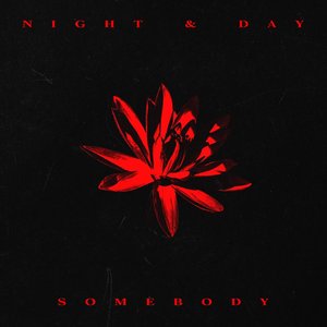 Image for 'Night & Day / Somebody'