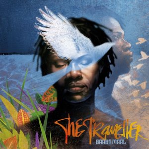 “The Traveller”的封面