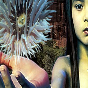 Image for 'Lifeforms (disc 2)'